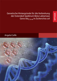 Genetische Hintergründe für die Verbreitung der Extended-Spektrum Beta-Laktamase Gene blaCTX-M in Escherichia coli