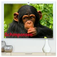 Schimpansen (hochwertiger Premium Wandkalender 2025 DIN A2 quer), Kunstdruck in Hochglanz