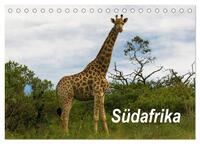 Südafrika (Tischkalender 2025 DIN A5 quer), CALVENDO Monatskalender