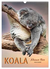 Koala, kleiner Bär (Wandkalender 2025 DIN A3 hoch), CALVENDO Monatskalender