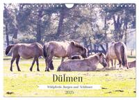 Dülmen - Wildpferde, Burgen und Schlösser (Wandkalender 2025 DIN A4 quer), CALVENDO Monatskalender