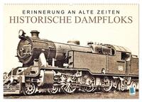 Erinnerung an alte Zeiten: Historische Dampfloks (Wandkalender 2025 DIN A2 quer), CALVENDO Monatskalender