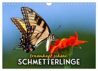 Traumhaft schöne Schmetterlinge (Wandkalender 2025 DIN A4 quer), CALVENDO Monatskalender