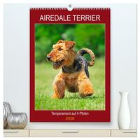 Airedale Terrier - Temperament auf 4 Pfoten (hochwertiger Premium Wandkalender 2026 DIN A2 hoch), Kunstdruck in Hochglanz