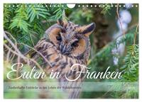 Vorderes Coverbild Eulen in Franken (Wandkalender 2025 DIN A4 quer), CALVENDO Monatskalender