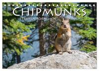 Chipmunks Streifenhörnchen (Tischkalender 2025 DIN A5 quer), CALVENDO Monatskalender