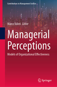 Managerial Perceptions