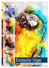 Exotische Vögel - Die Schönsten der Welt in Aquarell (Wandkalender 2025 DIN A3 hoch), CALVENDO Monatskalender