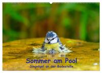 Sommer am Pool - Singvögel an der Badestelle (Wandkalender 2025 DIN A2 quer), CALVENDO Monatskalender