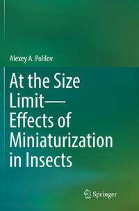 At the Size Limit - Effects of Miniaturization in Insects