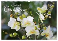 Schönste Orchideen (Wandkalender 2025 DIN A2 quer), CALVENDO Monatskalender