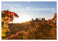 Wunderschönes Baden-Württemberg (Wandkalender 2025 DIN A2 quer), CALVENDO Monatskalender