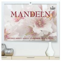 Emotionale Momente: Mandeln (hochwertiger Premium Wandkalender 2025 DIN A2 quer), Kunstdruck in Hochglanz