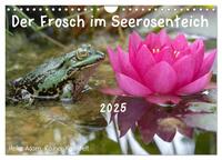Vorderes Coverbild Der Frosch im Seerosenteich (Wandkalender 2025 DIN A4 quer), CALVENDO Monatskalender