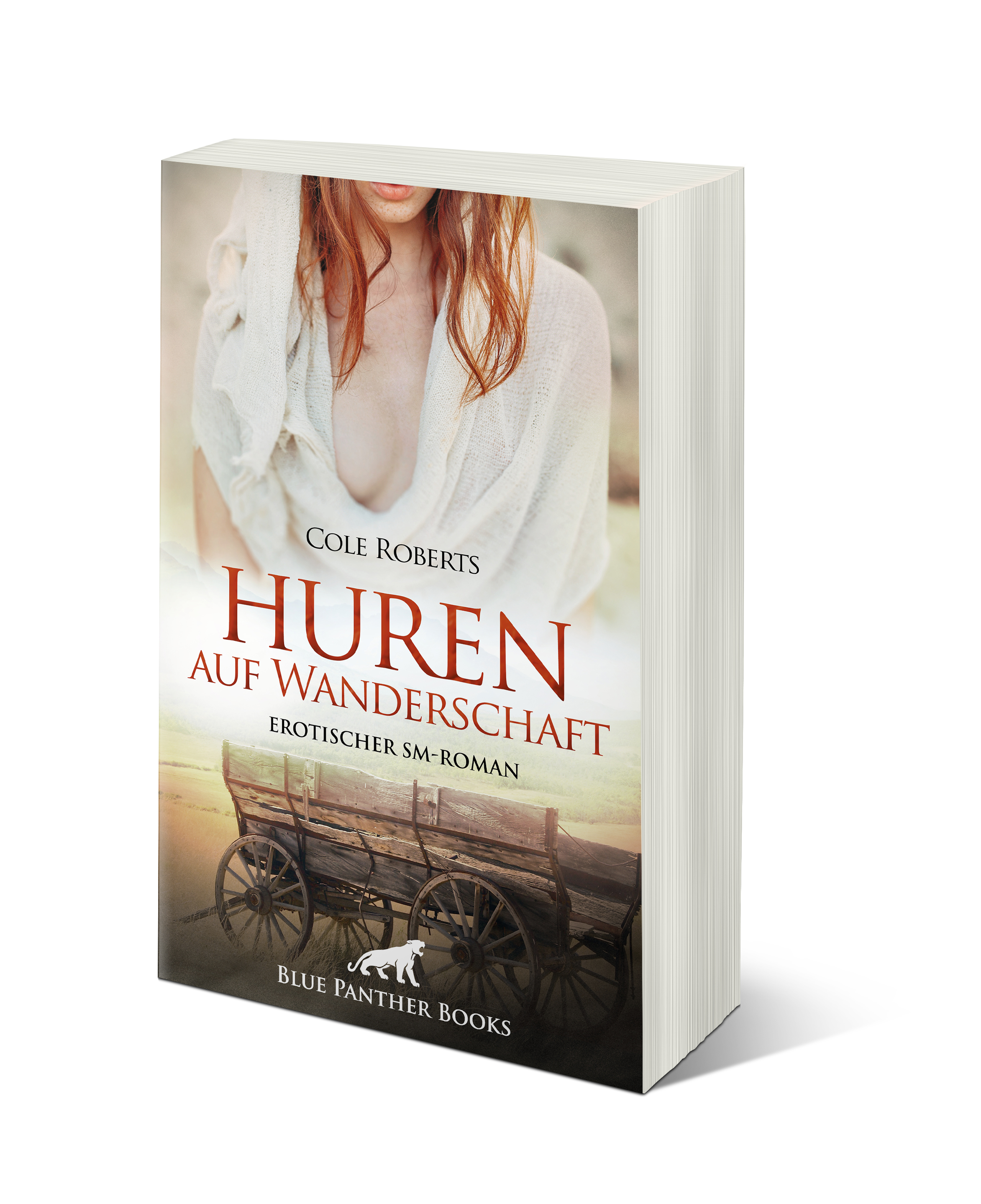 Huren auf Wanderschaft | Erotischer SM-Roman