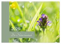 Die Natur hautnah (Wandkalender 2025 DIN A3 quer), CALVENDO Monatskalender