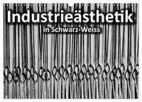 Industrieästhetik in Schwarz-Weiss (Wandkalender 2026 DIN A3 quer), CALVENDO Monatskalender