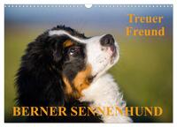 Treuer Freund Berner Sennenhund (Wandkalender 2025 DIN A3 quer), CALVENDO Monatskalender