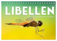 Libellen - Farbenfrohe Insekten (Tischkalender 2025 DIN A5 quer), CALVENDO Monatskalender