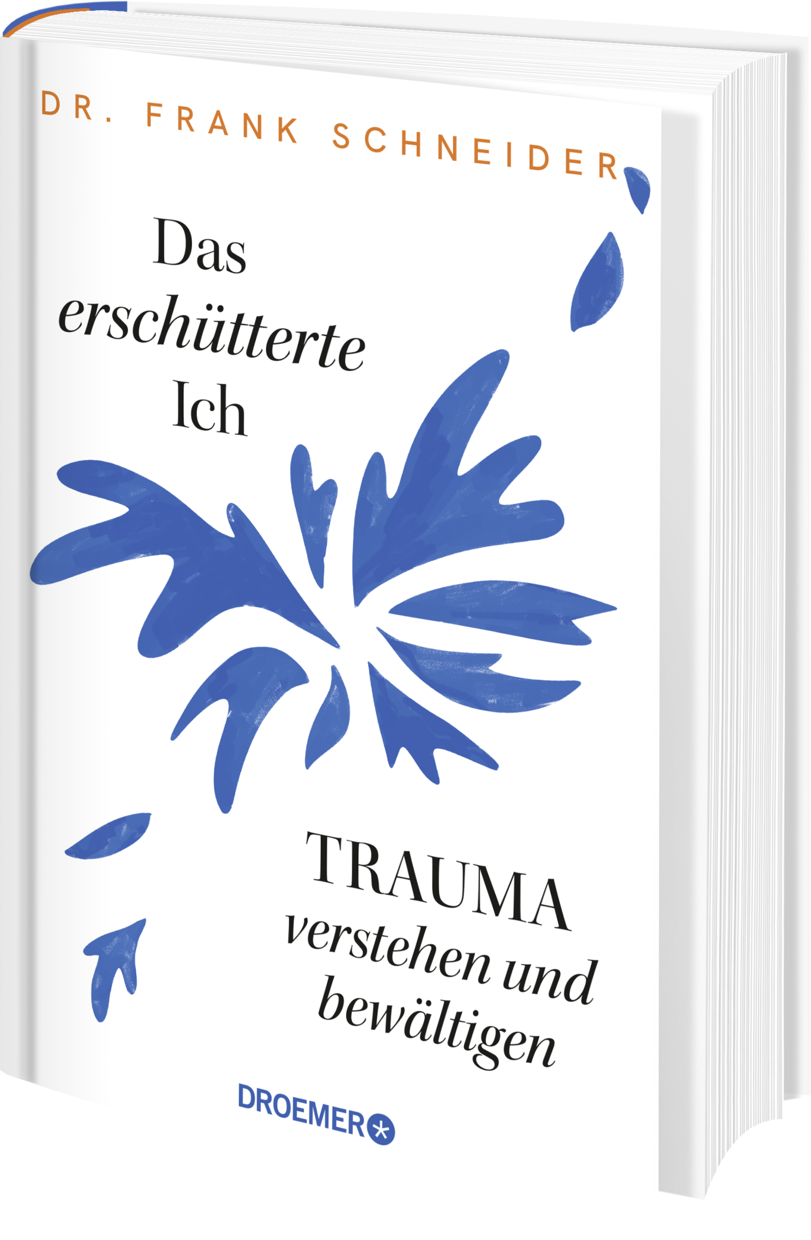 Das erschütterte Ich