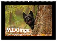 MIXlinge (Wandkalender 2025 DIN A2 quer), CALVENDO Monatskalender