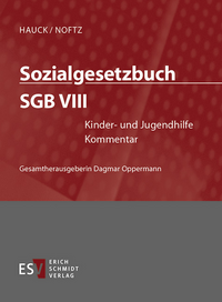 Sozialgesetzbuch (SGB). Kommentar / Sozialgesetzbuch (SGB) VIII: Kinder- und Jugendhilfe - Einzelbezug