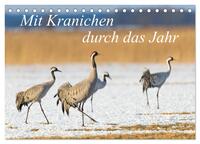 Mit Kranichen durch das Jahr (Tischkalender 2026 DIN A5 quer), CALVENDO Monatskalender