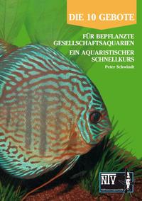 10 Gebote für bepflanzte Gesellschaftsaquarien