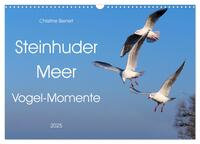 Steinhuder Meer, Vogel-Momente (Wandkalender 2025 DIN A3 quer), CALVENDO Monatskalender