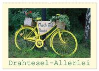 Drahtesel-Allerlei (Wandkalender 2025 DIN A2 quer), CALVENDO Monatskalender
