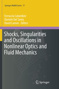 Shocks, Singularities and Oscillations in Nonlinear Optics and Fluid Mechanics