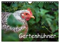 Gartenhühner (Wandkalender 2026 DIN A4 quer), CALVENDO Monatskalender