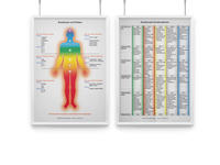 AMM & TCM Lehrtafel Psychologie und Emotionen