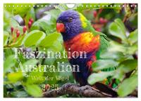 Faszination Australien - Welt der Vögel (Wandkalender 2025 DIN A4 quer), CALVENDO Monatskalender