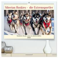Siberian Huskies - die Extremsportler (hochwertiger Premium Wandkalender 2026 DIN A2 quer), Kunstdruck in Hochglanz