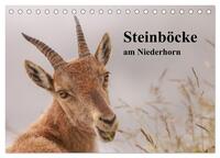 Steinböcke am Niederhorn (Tischkalender 2025 DIN A5 quer), CALVENDO Monatskalender