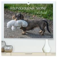 Rauhaardackel Motte & Friends (hochwertiger Premium Wandkalender 2025 DIN A2 quer), Kunstdruck in Hochglanz
