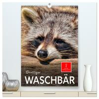 Drolliger Waschbär (hochwertiger Premium Wandkalender 2025 DIN A2 hoch), Kunstdruck in Hochglanz