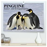 Pinguine - Kaiser- und Königspinguine (hochwertiger Premium Wandkalender 2026 DIN A2 quer), Kunstdruck in Hochglanz