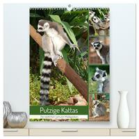 Putzige Kattas (hochwertiger Premium Wandkalender 2025 DIN A2 hoch), Kunstdruck in Hochglanz