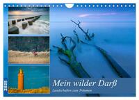 Mein wilder Darß - Landschaften zum Träumen (Wandkalender 2025 DIN A4 quer), CALVENDO Monatskalender