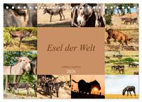 Esel der Welt - Lieblings Langohren (Tischkalender 2026 DIN A5 quer), CALVENDO Monatskalender