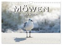 Möwen am Meer (Wandkalender 2025 DIN A4 quer), CALVENDO Monatskalender