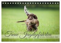 Treue Jagdgefährten Der kleine Münsterländer (Tischkalender 2026 DIN A5 quer), CALVENDO Monatskalender