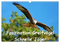Vorderes Coverbild Faszination Greifvögel Schnelle Jäger (Wandkalender 2025 DIN A3 quer), CALVENDO Monatskalender