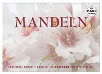 Emotionale Momente: Mandeln (Wandkalender 2025 DIN A3 quer), CALVENDO Monatskalender