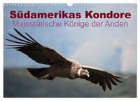 Vorderes Coverbild Südamerikas Kondore - Majestätische Könige der Anden (Wandkalender 2025 DIN A3 quer), CALVENDO Monatskalender