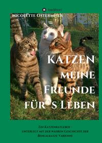 KATZEN - meine Freunde für's Leben