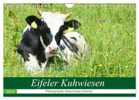 Vorderes Coverbild Eifeler Kuhwiesen (Wandkalender 2025 DIN A4 quer), CALVENDO Monatskalender