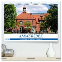 Ammersbek - Grüne Oase vor den Toren Hamburgs (hochwertiger Premium Wandkalender 2026 DIN A2 quer), Kunstdruck in Hochglanz